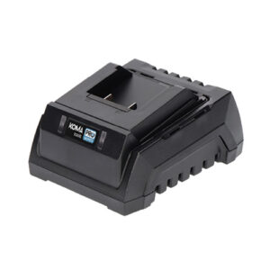 Cargador Batería 20V 60W